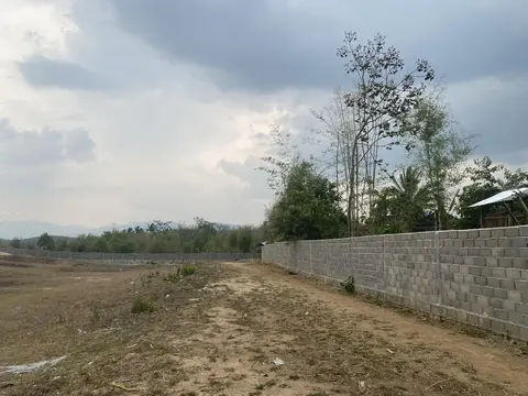 ပင်ဆိုင်းခြံစည်းရိုးကာရံခြင်း