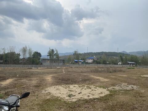 ပင်ဆိုင်းခြံစည်းရိုးကာရံခြင်း
