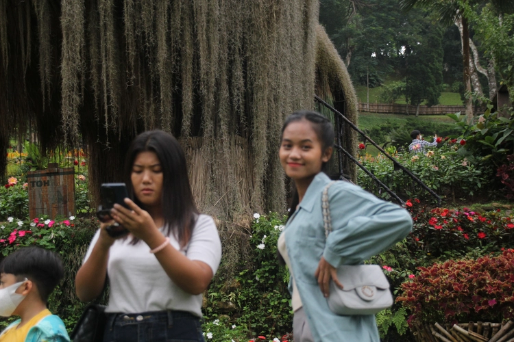 လျှောက်လည်