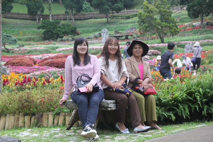 စာအုပ်စစ်ဆေး